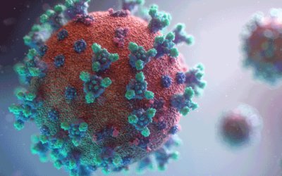 Coronavirus2 web