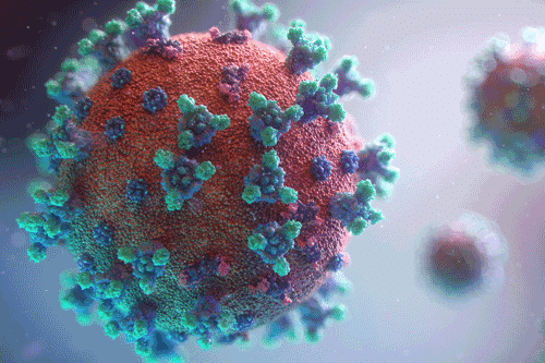 Coronavirus2 web