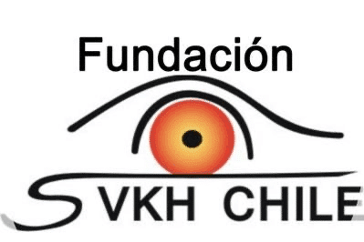 Fundacion VKH